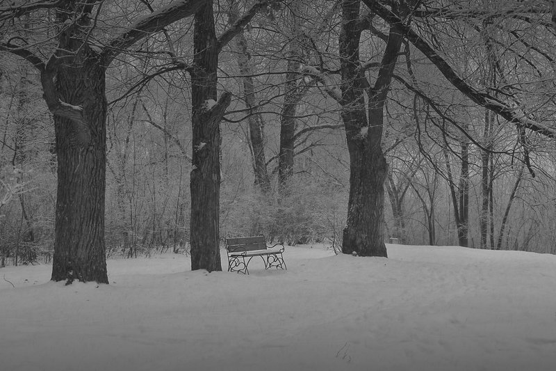зима, снег, сад, , скамейка в зимнем садуphoto preview