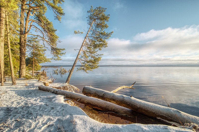 Солнечный деньphoto preview