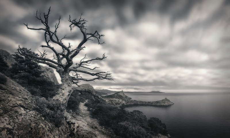 Слушая небо. фото превью