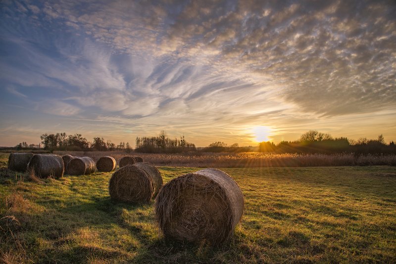 закат на лугу sunset in the meadow sun sunlight nikon sheaves hay сено grass sunset dranikowski green clouds sky закат на лугуphoto preview