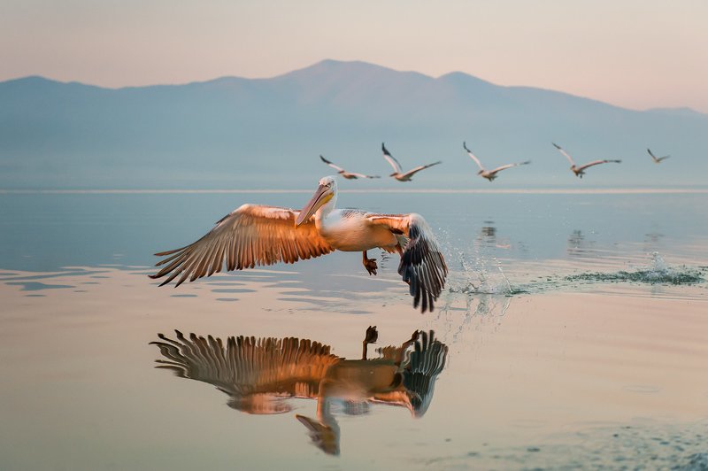 Reflectionsphoto preview