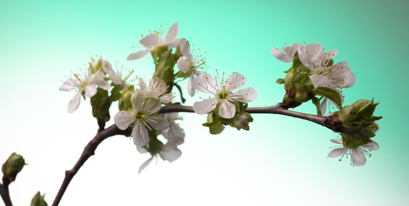 швеция Весна идетphoto preview