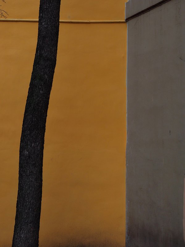 абстракция, город, архитектура  Линии и цвет photo preview