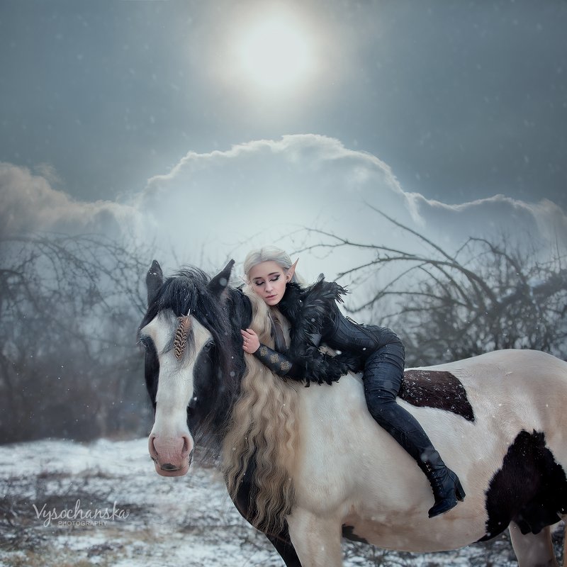 winter in wonderlandphoto preview