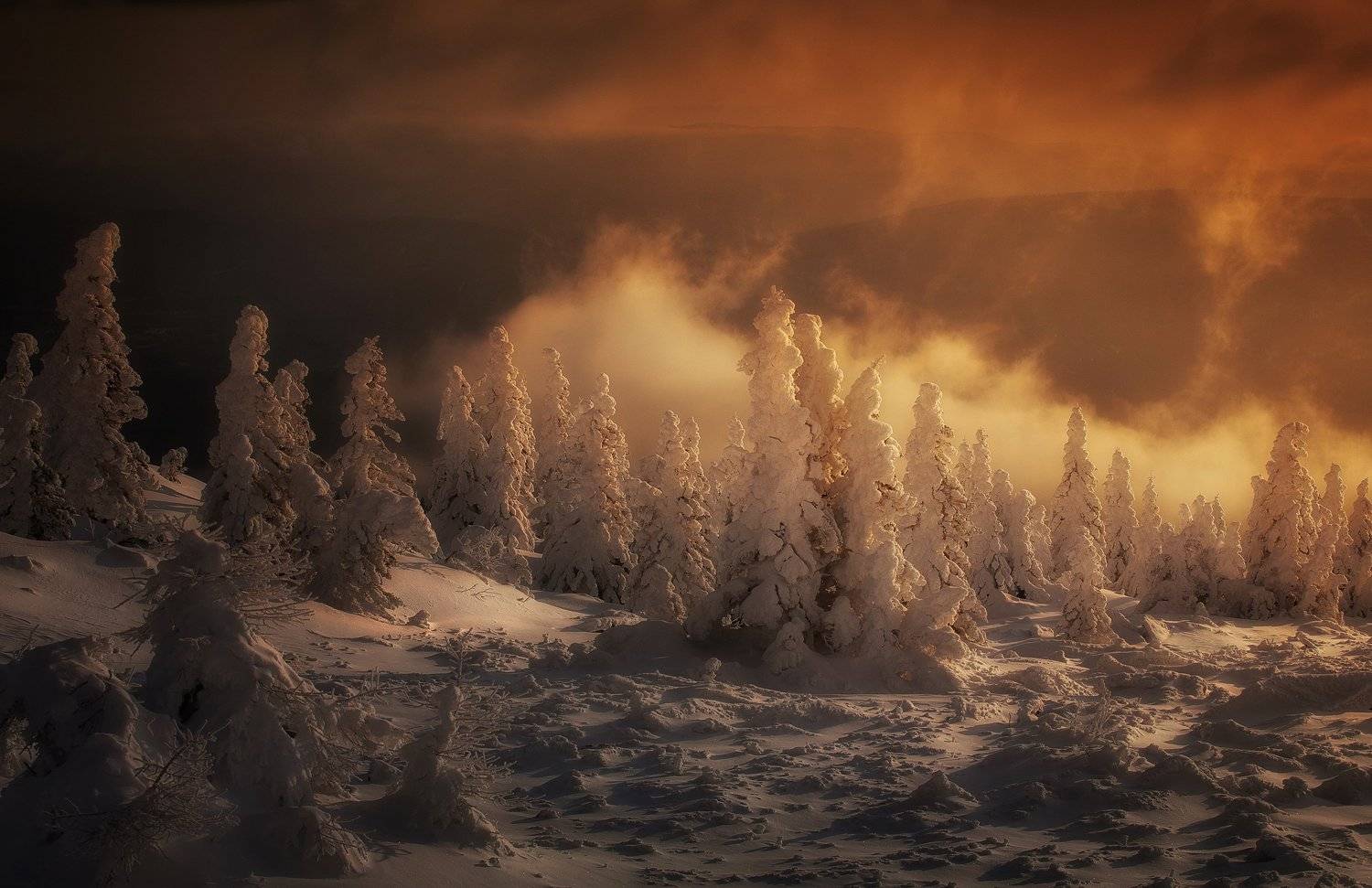 , Татьяна Бирюкова