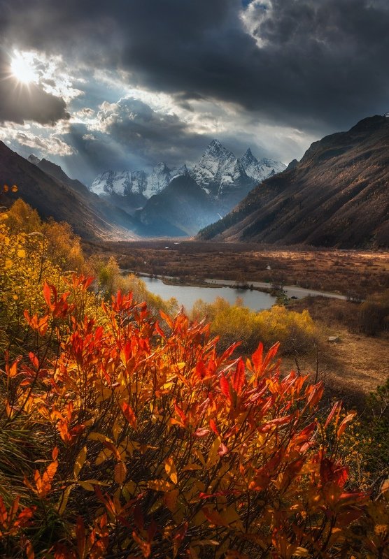 Золотая осень в Гоначхирском ущельеphoto preview