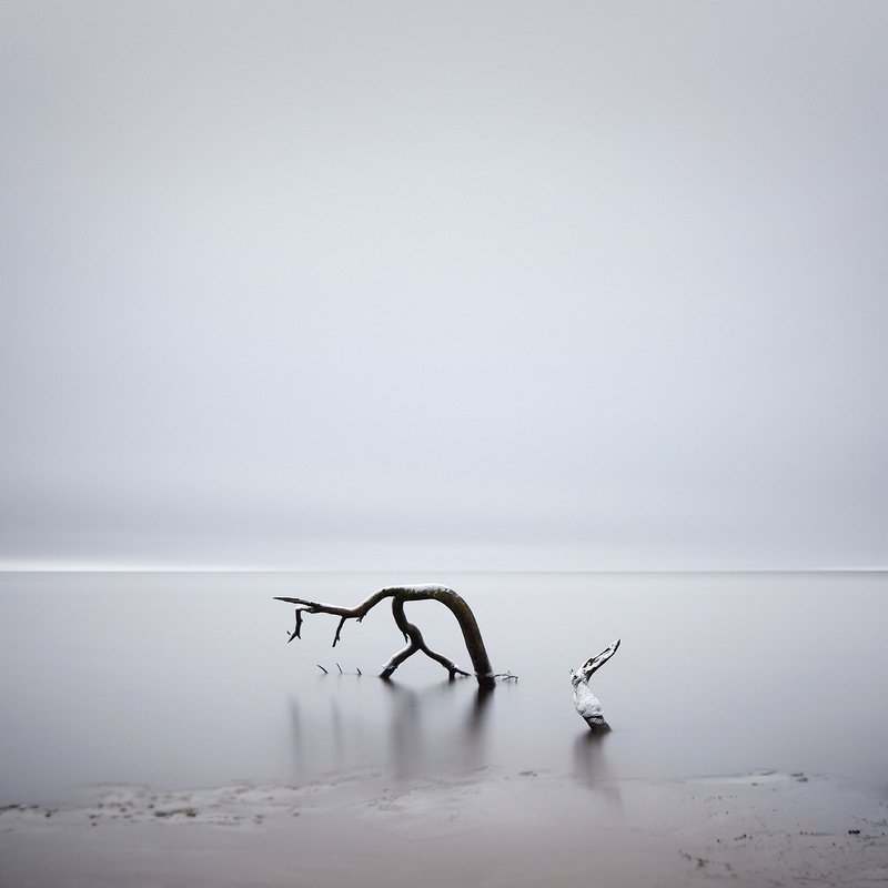 На водопоеphoto preview