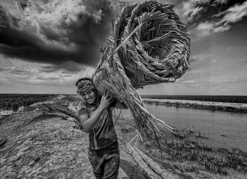 Marshes,Southern Iraq,Boy,cane,Water.sky,black and white Marsh boyphoto preview