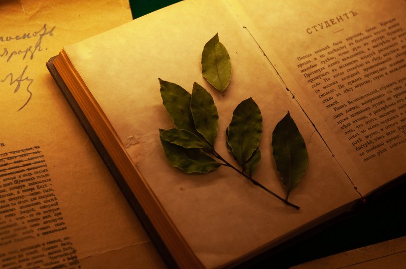 Физические атрибуты Чехова-творцаphoto preview