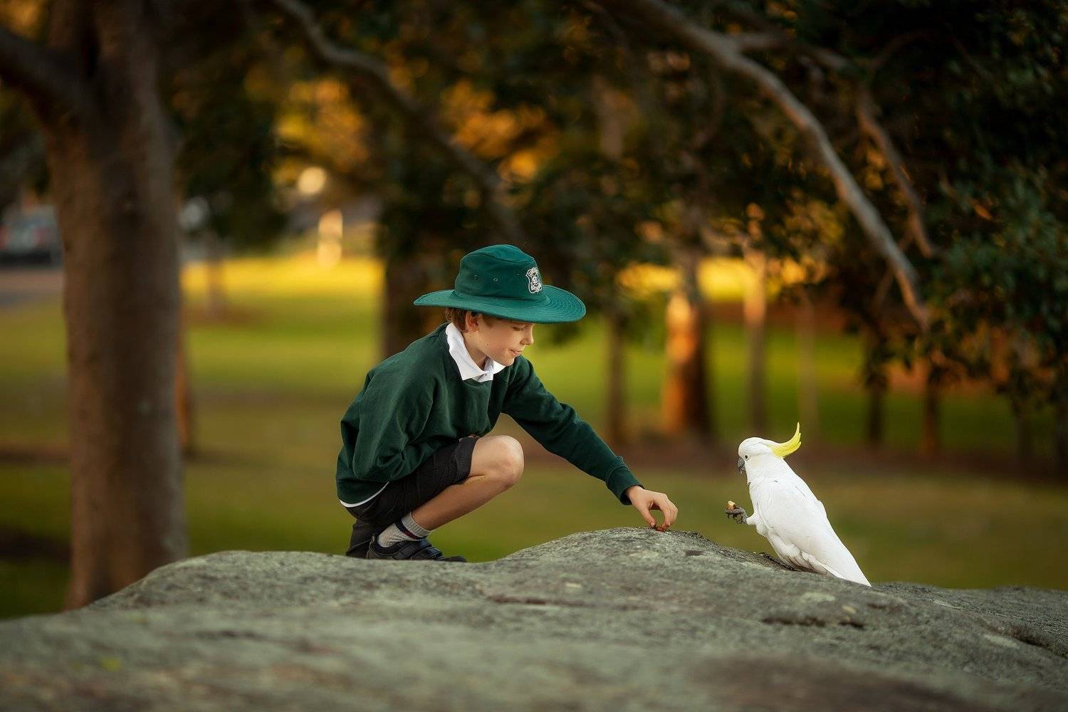 Чай с попугаем. Автор: Ника Колесникова , Ника Колесникова