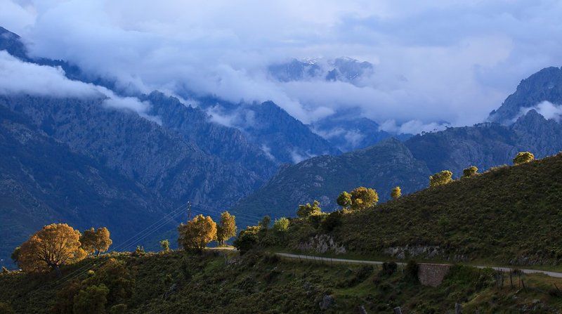 дорога в Тралонкуphoto preview