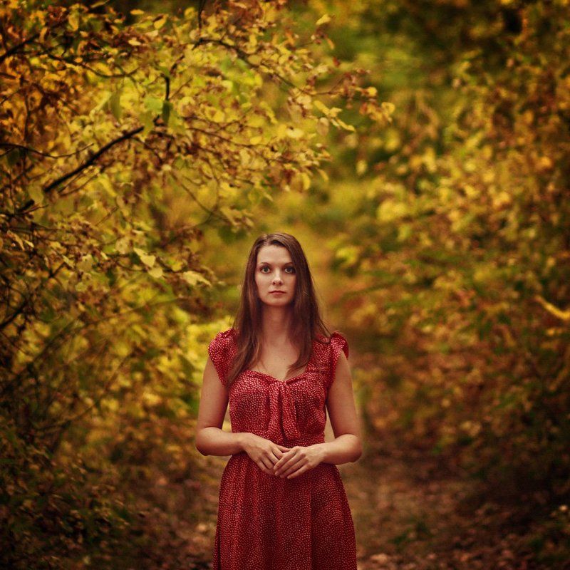 The Woodphoto preview