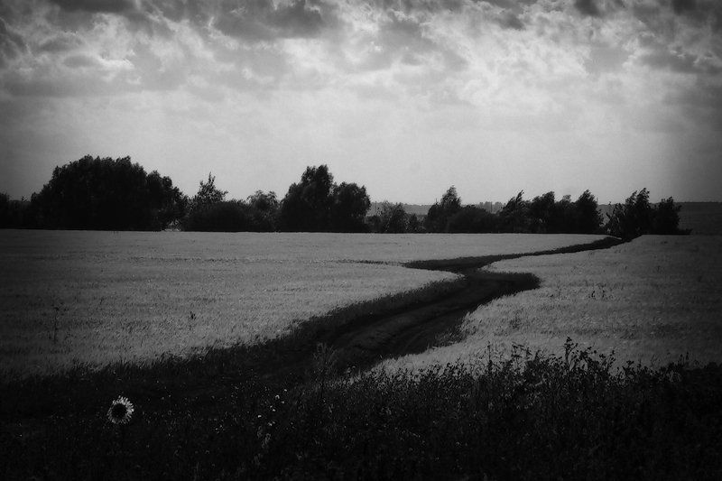 типаПейзаж...photo preview