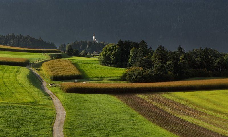 австрия ----photo preview