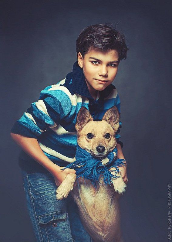 портрет, , дети, собаки, животные, студия ...photo preview