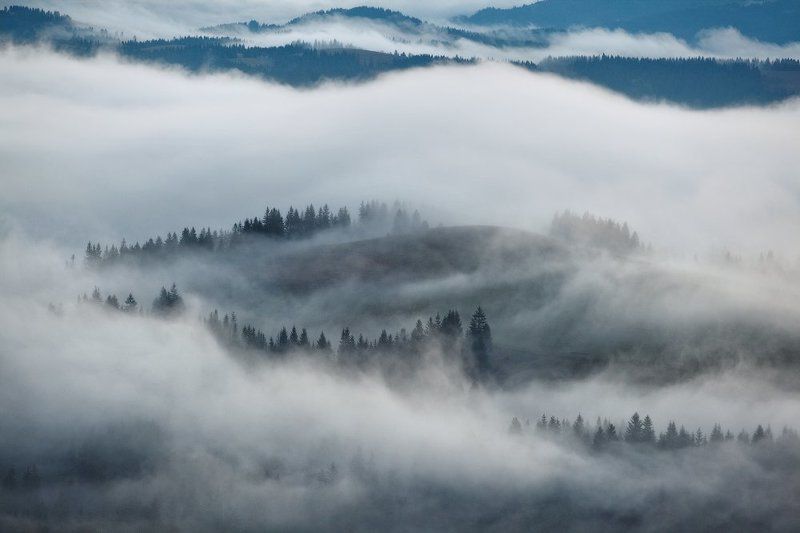 карпаты, осень, утро, туман ...Fog... фото превью