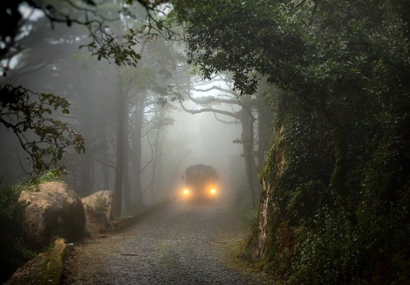 the last busphoto preview