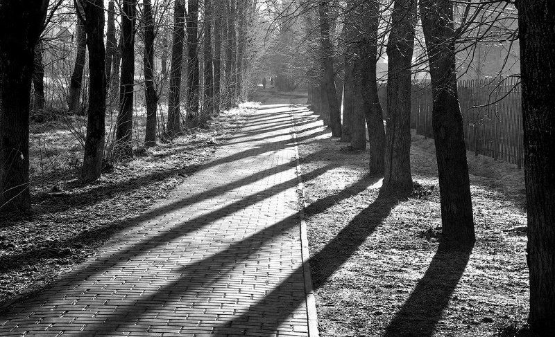 Утренний свет и тениphoto preview