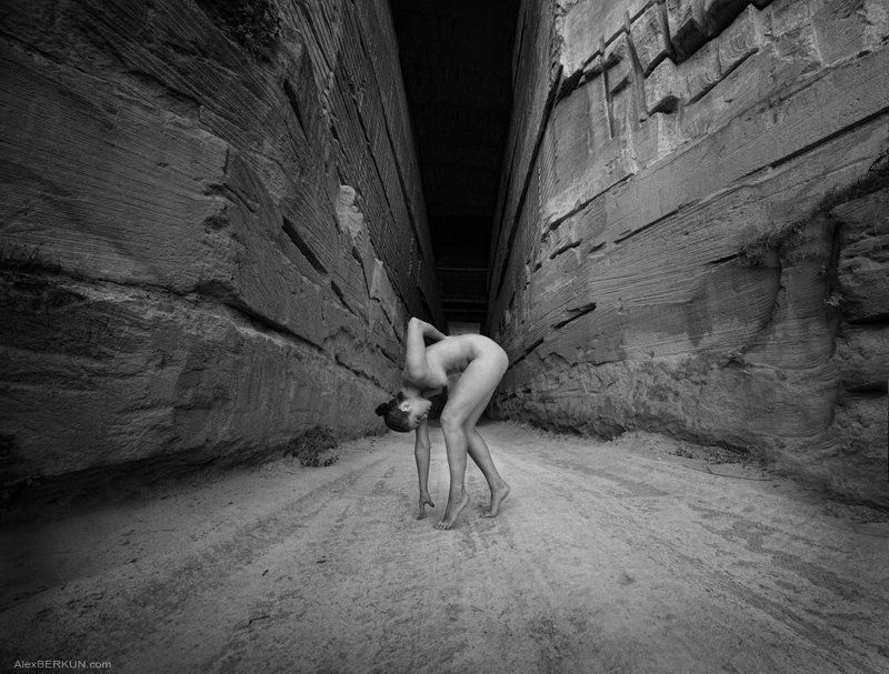 alex, berkun butterflyphoto preview