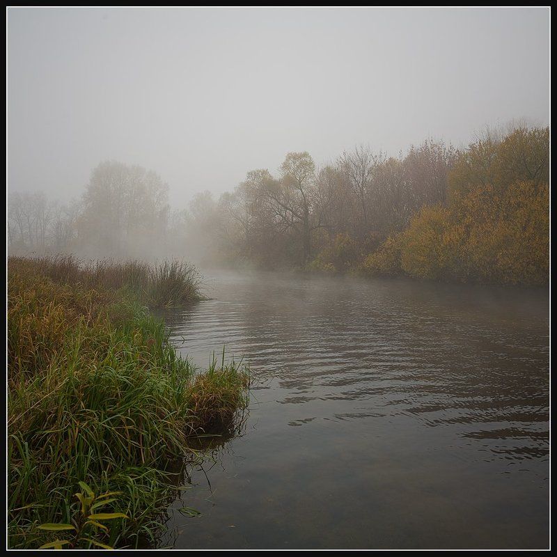 Осень... Утро... Туман...photo preview