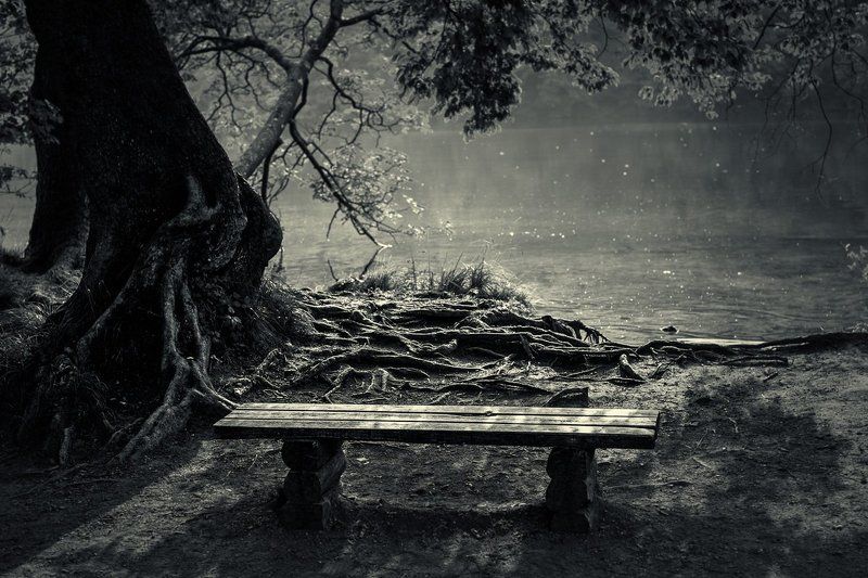 У озераphoto preview