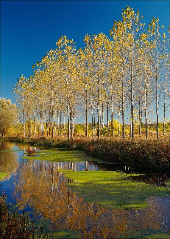 Осеньphoto preview