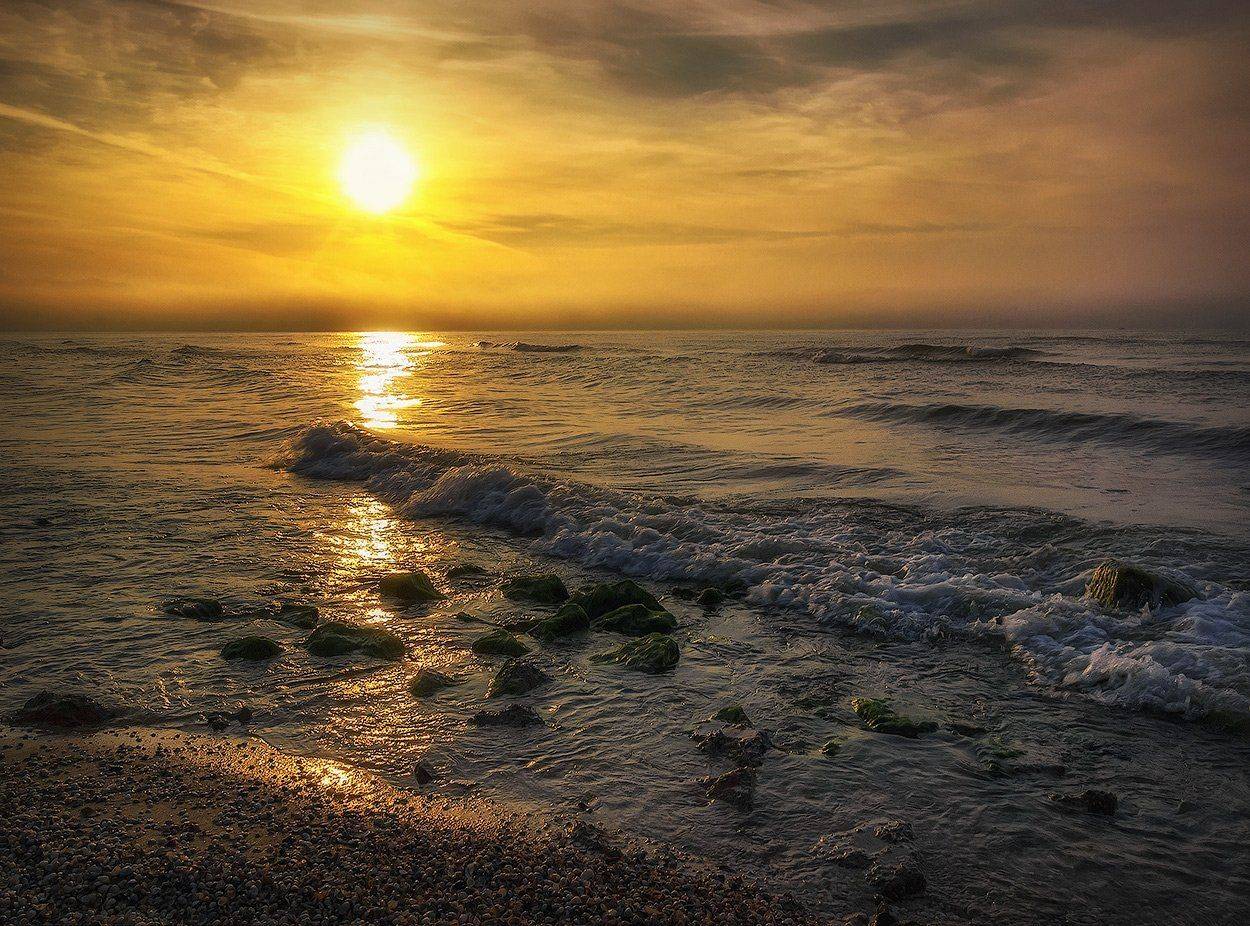 Где ты, лето золотое.... Автор: Игорь Мелекесцев , Игорь Мелекесцев