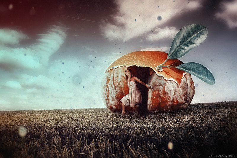 Мандариновый домphoto preview