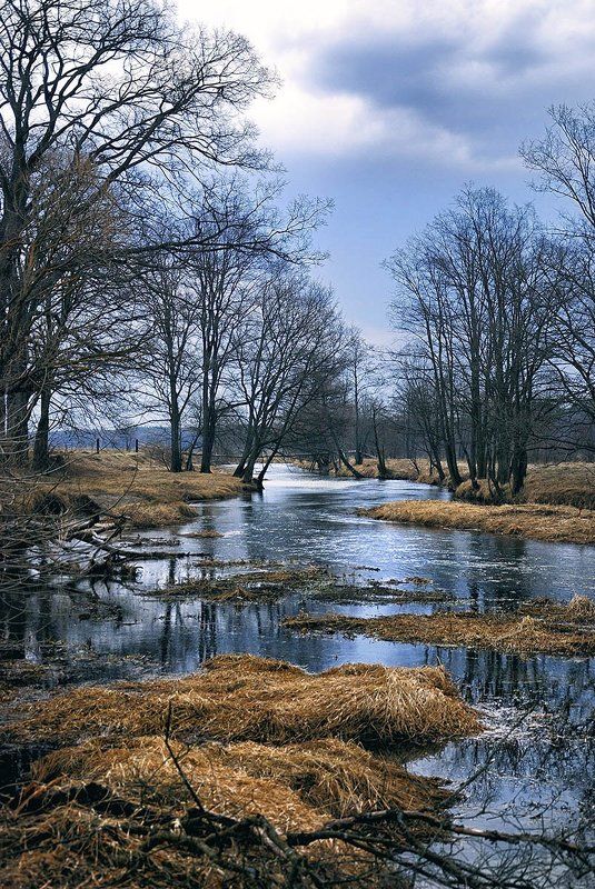 За селом.photo preview