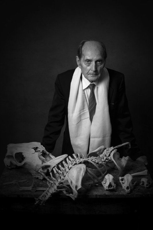 The Professorphoto preview