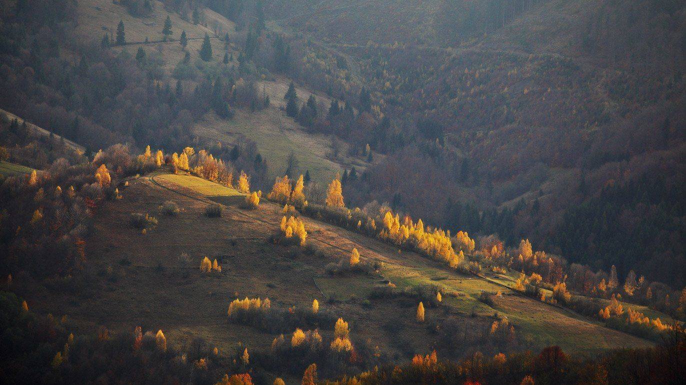 вечер, карпаты, ноябрь, осень, Вейзе Максим