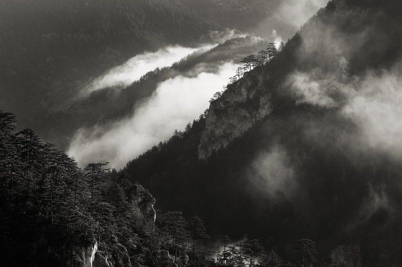 Утренний туман фото превью