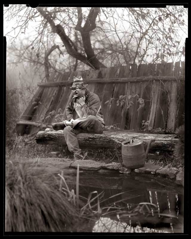 болото, буратино, пруд В ожидании ключика, а на пороге зима...photo preview