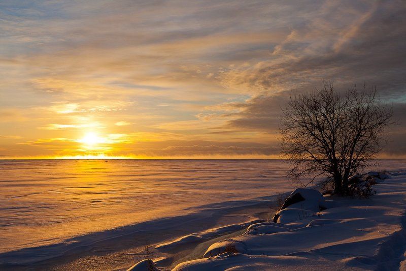 рассвет Декабрьский рассвет на Финском заливеphoto preview