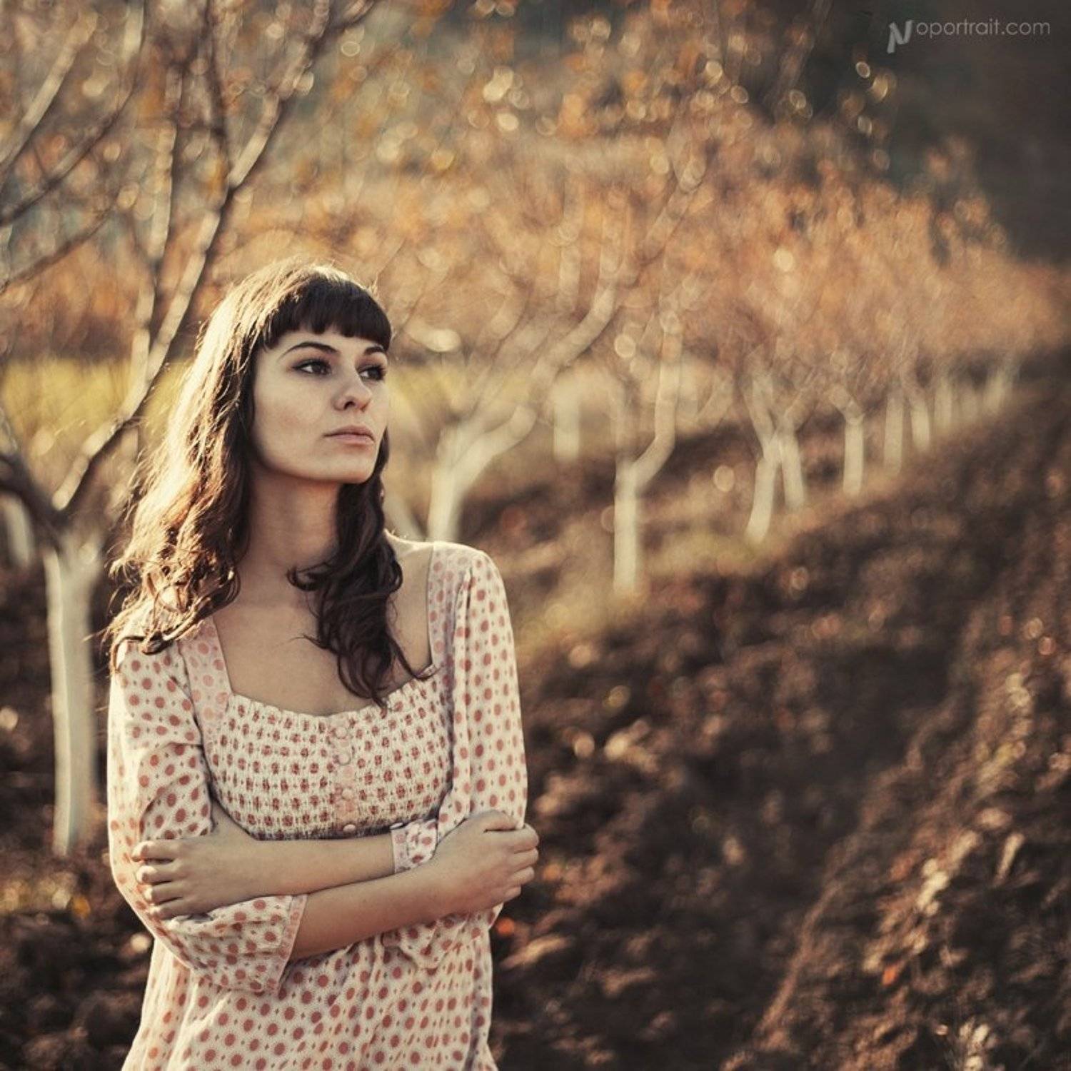 ....... Автор: Nikolay Kolev , Nikolay Kolev