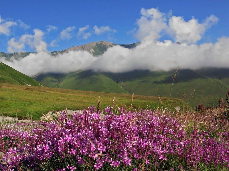 Луга Осетииphoto preview