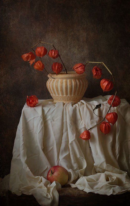 натюрморт.ваза., физалис., яблоко., ткань., драпировка ***photo preview