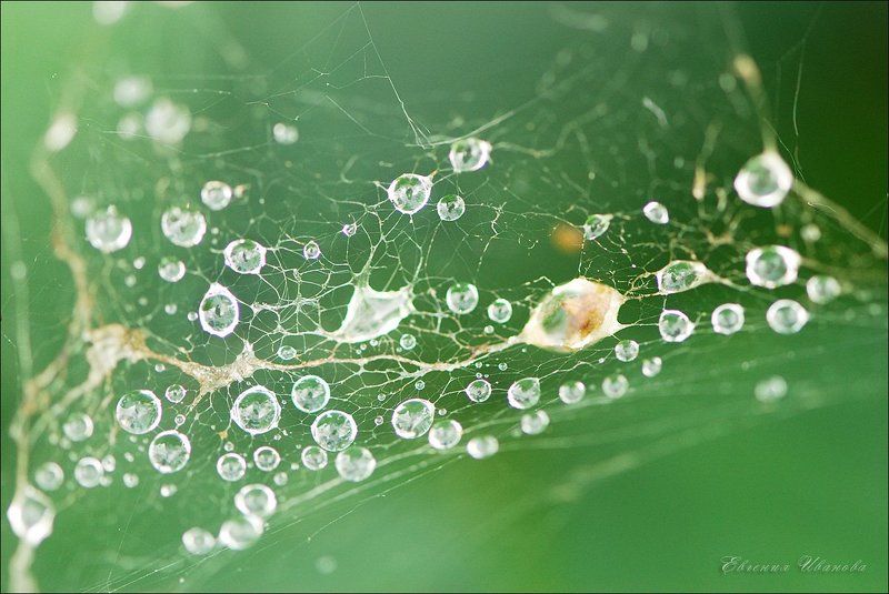 Слезы неба фото превью