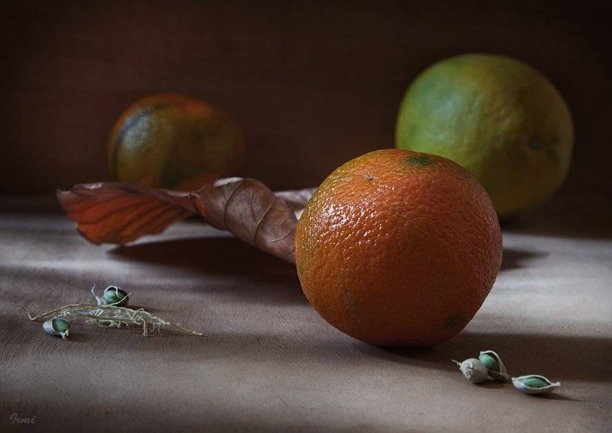 мандарин, сухой, лист, лимон, мандариновые, косточки, Юрий Юшваев