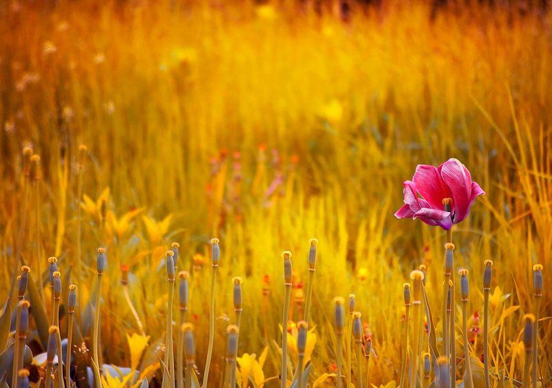 Остаться в живыхphoto preview