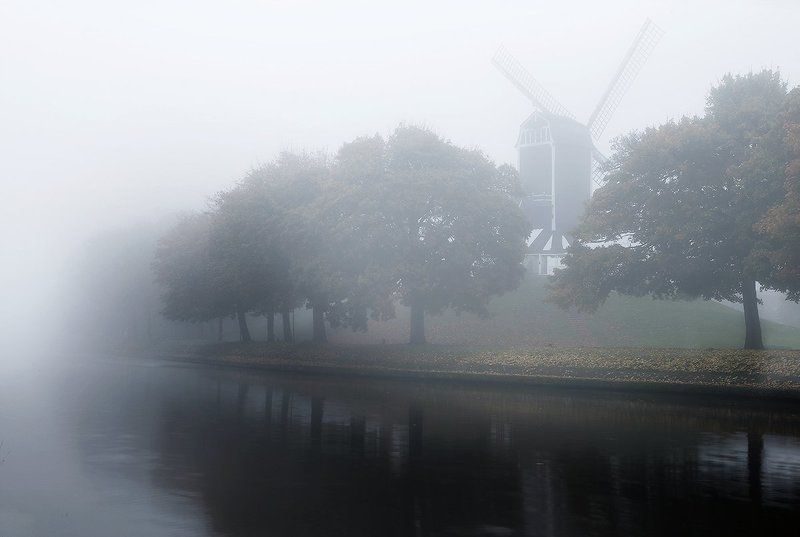 Зябкое фламандское утроphoto preview
