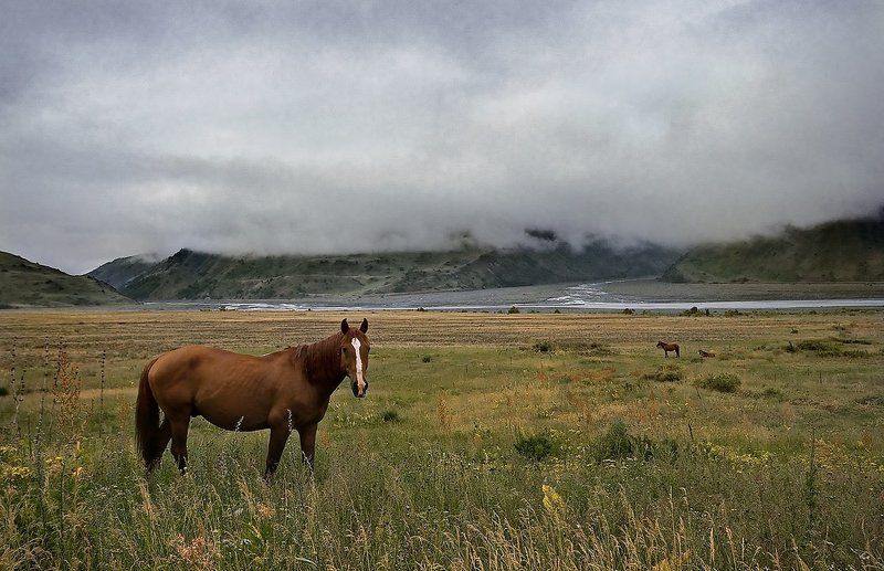 Такой разный Памирphoto preview