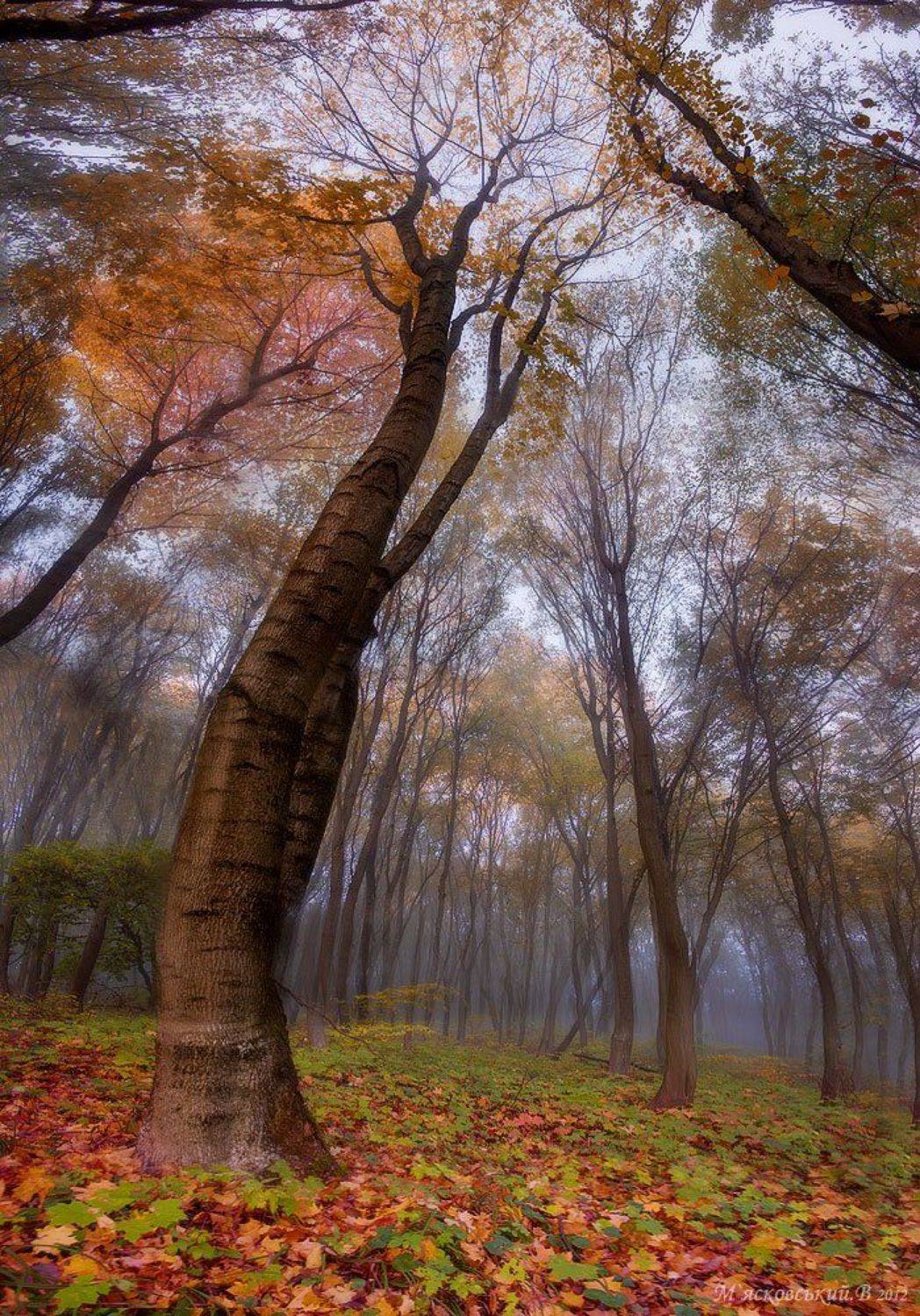 , Wolodymer Mjaskowskuj