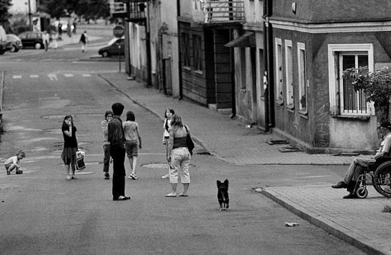 Life sreet Polandphoto preview