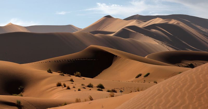 The Hunt for Red Koziołekphoto preview