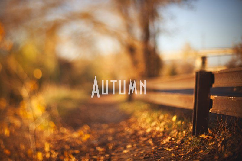 Our autumnphoto preview