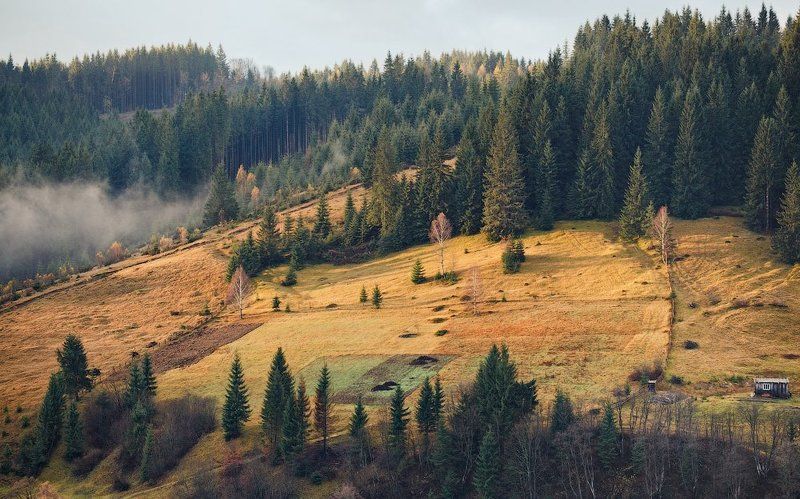 карпаты, осень, утро, свет, домик ...История одного домика... фото превью