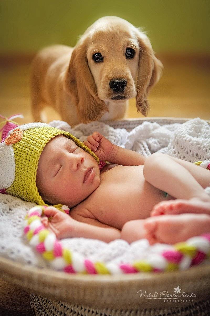 Дружба с рождения. Автор: Наталия Горбаченко , Наталия Горбаченко