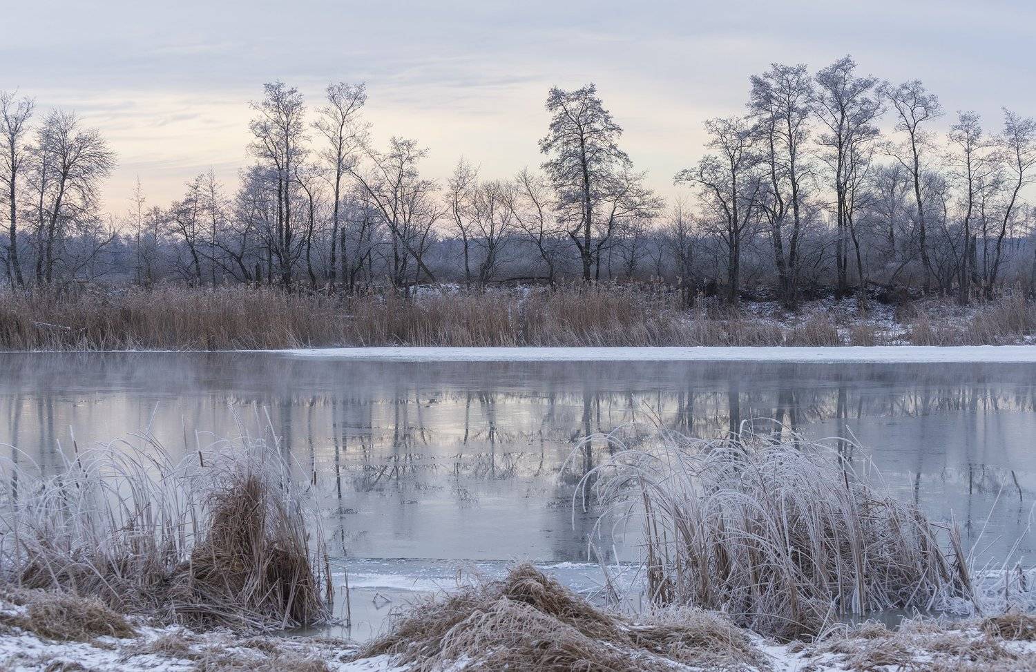 Автор: Дмитрий Новоселов , Дмитрий Новоселов