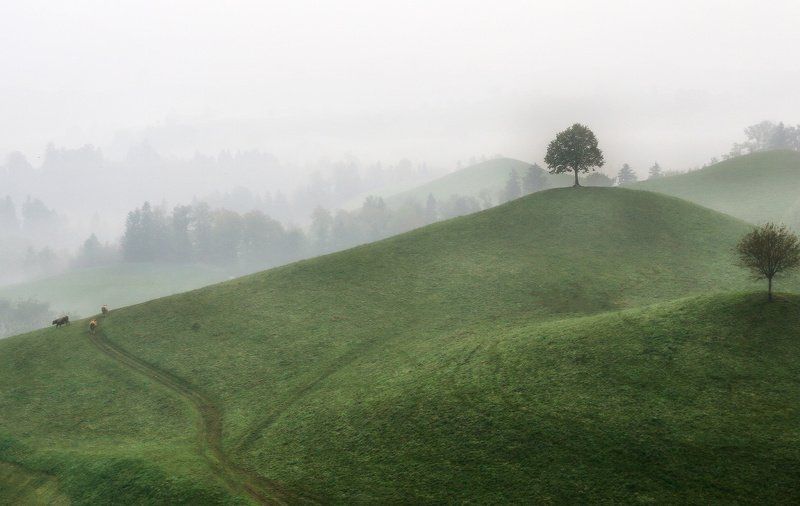 швейцария, альпы, туман Туманное утроphoto preview